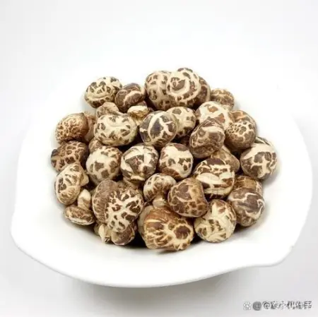 我国最好吃的五大蘑菇，你吃过几个，第一二名以鹿茸和珍珠命名 8